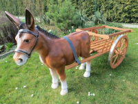 Eselgespann mit braunem Esel und Leiterwagen, hier kommt der Kutscher noch dazu