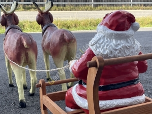 2 Rentiere mit Weihnachtsmann Schlitten, hinten