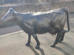 Angus Kuh lebensgross, Dekofigur für den Garten 2