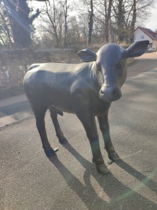 Angus Kalbfigur lebensgross, Deko Figur für drinnen und draussen 4