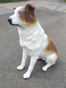 Australian Shepherd Deko-Hundefigur, sitzend, 70 cm hoch 3