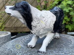 Deko  Border Collie stehend, 62cm lang 7