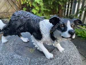 Deko  Border Collie stehend, 62cm lang 3