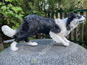 Deko  Border Collie stehend, 62cm lang 2