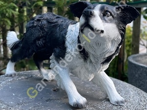 Deko  Border Collie stehend, 62cm lang 5