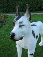 Deutsche Dogge Figur lebensgross stehend 