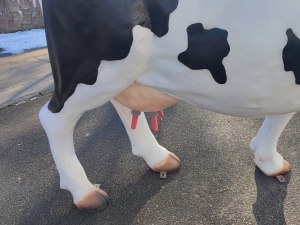 Deko Kuh lebensgross mit Melksystem in schwarz-weiss 2