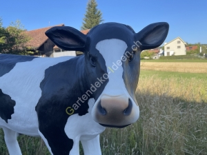 Deko Kalb Gesicht 