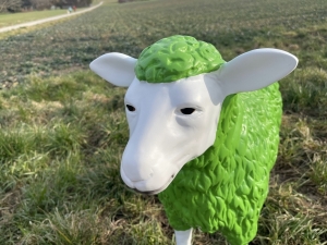 Kopfdetail der grünen Schaffigur
