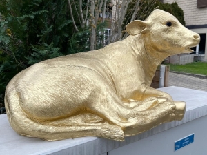 Kalbfigur Deko, lebensgross, golden, liegend, 91 cm lang 1