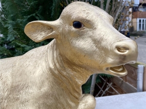 Goldenes Dekokalb lebensgross, liegend, 91 cm lang 1