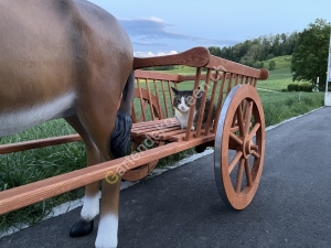 Esel mit Wagen lebensgross xxl