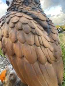 eulenfigur mit detailansicht des seitlichen federkleids