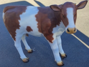 Kalb Dekofigur lebensgross, braun-weiss, 121cm lang, für drinnen und draussen