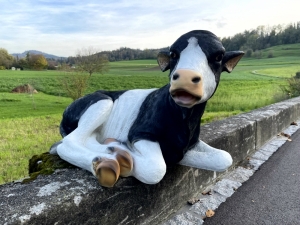 Kalbfigur lebensgross, liegend, schwarz-weiss, 91 cm lang 3