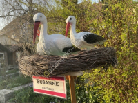 Geburtstafel Storch zur Geburt 6