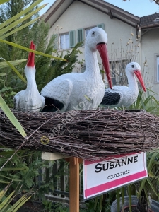 Geburtstafel Storch zur Geburt auf Ständer 3