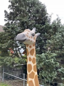 giraffenfigur 210 cm mit kopfansicht von vorne