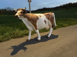 grosse kuhfigur als aussendekoration in einer weiten gesamtansicht