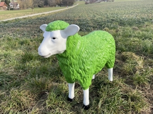 Grüne Schaffigur schräg von vorne links