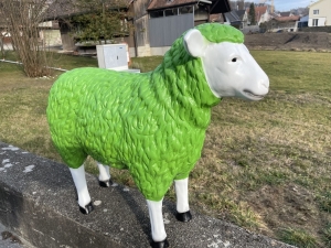 Grünes Mutterschaf von der rechten Seite