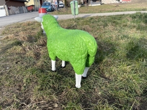 Grünes Mutterschaf in der Rückansicht
