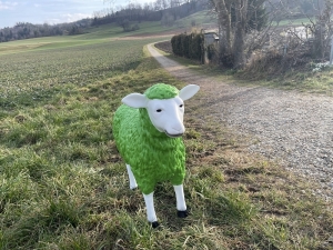 Grünes Deko Schaf in der Frontalansicht