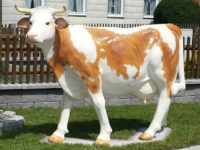 Kuhfigur lebensgross - Simmentaler Fleckvieh