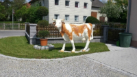 Simmentaler Fleckvieh, Kuhfigur lebensgross