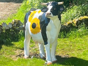 Kuhfigur lebensgross mit Auftragsbemalung Motiv Sonnenblume 1