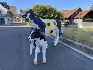 Schwarz-weisse Kuhgruppe mit Kalb von vorne