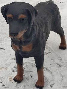 Schöne, lebensgrosse Labrador Retriever Deko Hundefigur, mit schwarz-braunem Fell