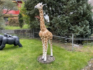 lebensgrosse giraffe als aussendeko in der weiten gesamtansicht