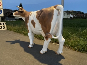 lebensgrosse kuhfigur als aussendeko in der direkten rueckansicht