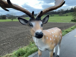 Kopfdetail der lebensgrossen Damhirschfigur