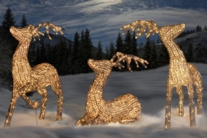 Alle grossen LED beleuchteten Rentiere zusammen