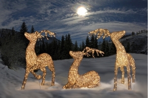 Die 3 Grossen der XXL Weihnachts-Rentier 4er-Familie LED beleuchtet 