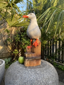 Möwe auf Stamm, Schrägansicht von links