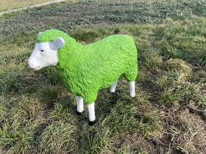 Mutterschaf in Wunschfarbe als Gesamtansicht