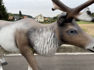 Lebensgrosses Deko Rentier für Weihnachten seite 3