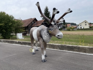 Rentier für Weihnachten Weihnachtsrentier lebensgross