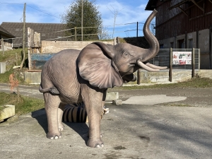 grosser elefant 160 cm in der rechten seitenansicht