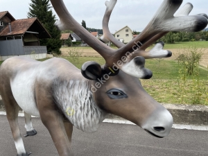 Weihnachtsdeko Rentier gross XXL lebensgross 2