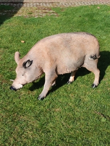 Keiler / Eber Wildschwein stehend gross, 115 cm lang 2